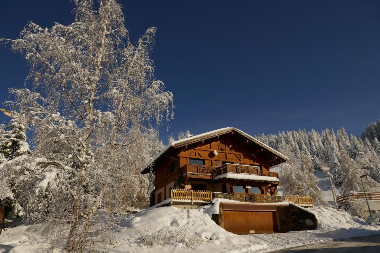 Les Saisies Cote Bisanne Appartement Dans Chalet Le Nepal المظهر الخارجي الصورة