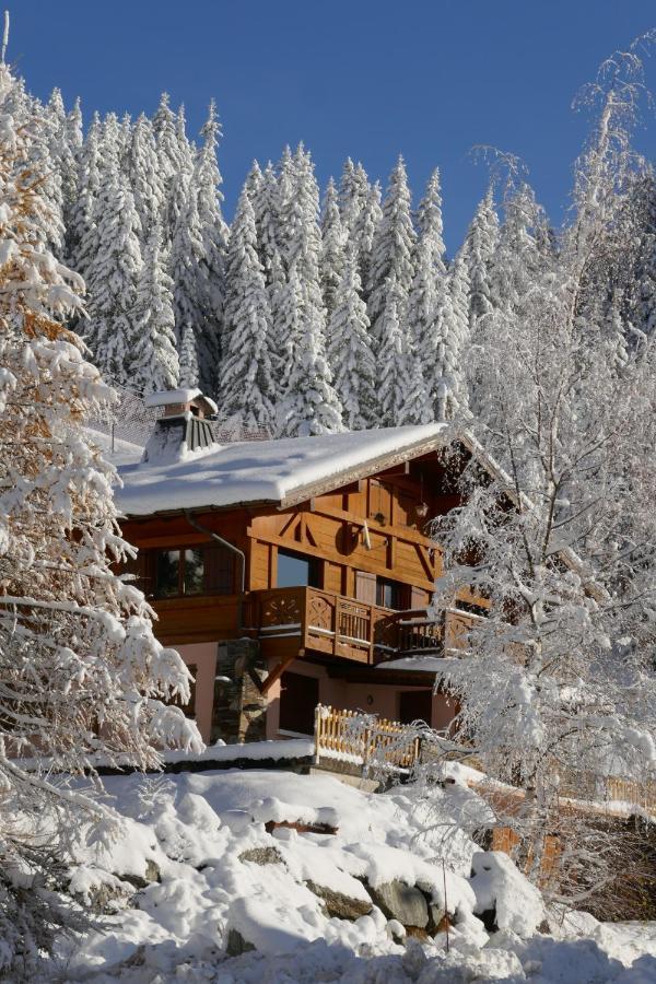 Les Saisies Cote Bisanne Appartement Dans Chalet Le Nepal المظهر الخارجي الصورة